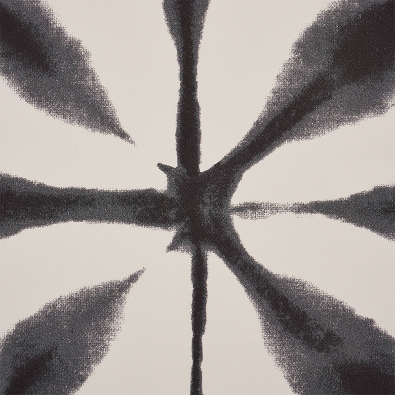 ANDROMEDA gallery 2