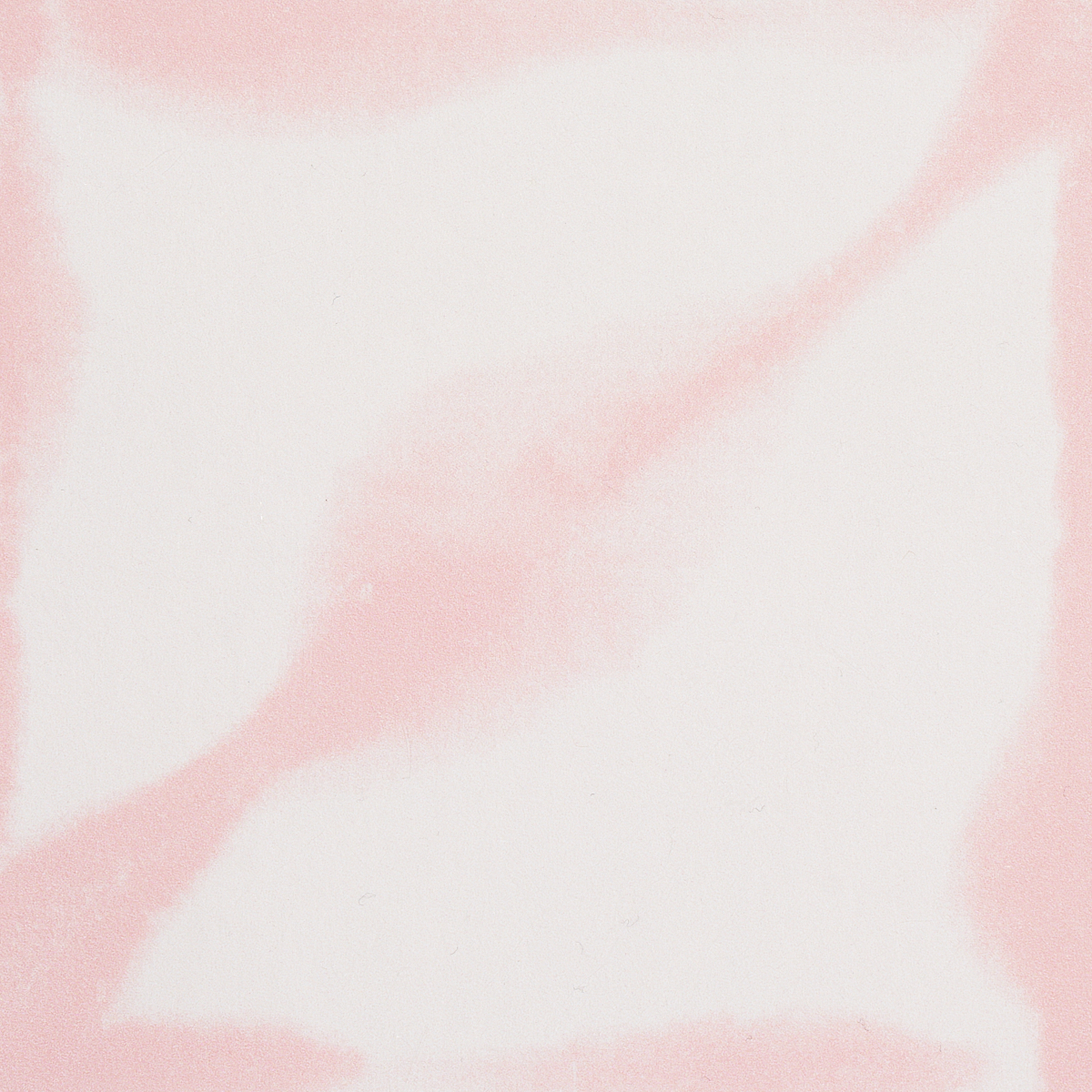 ANDROMEDA gallery 3
