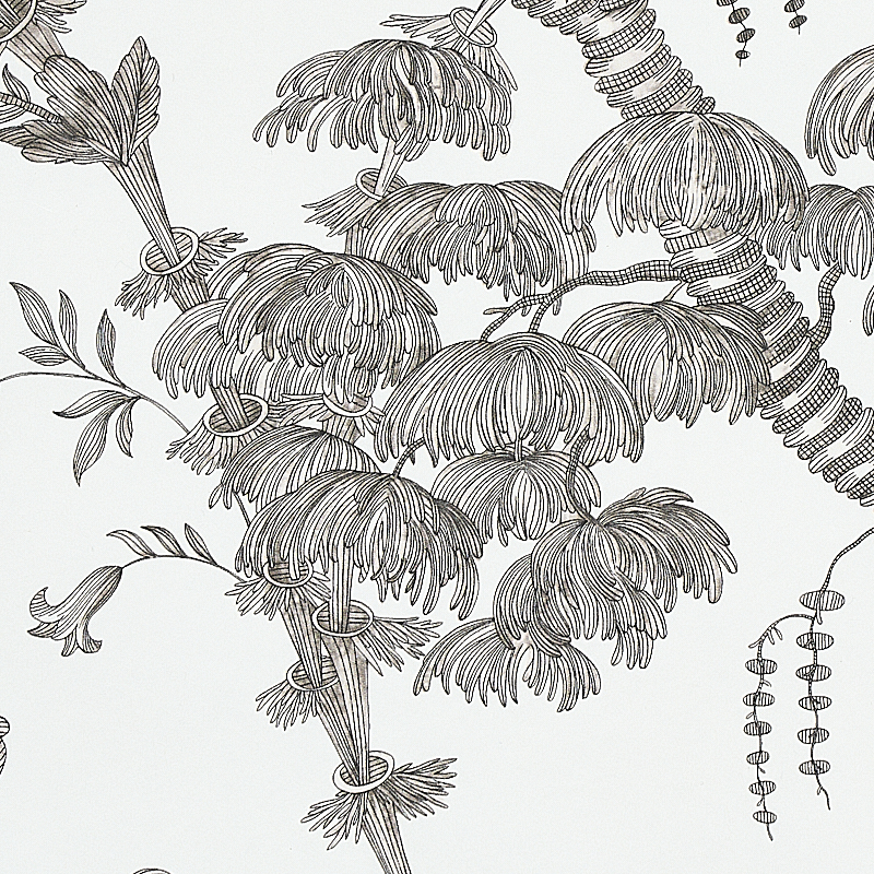 SAN CRISTOBAL TOILE gallery 3