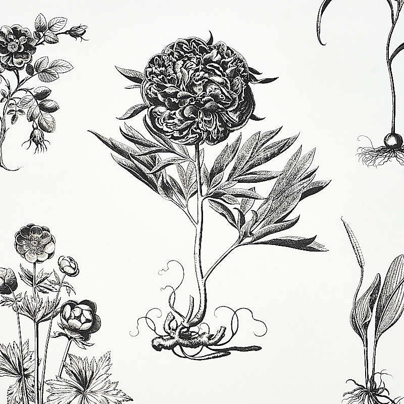 CABOT BOTANICAL LARGE gallery 2
