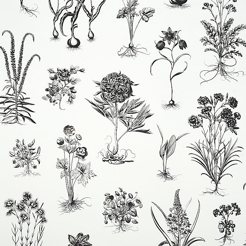 CABOT BOTANICAL LARGE — IVORY