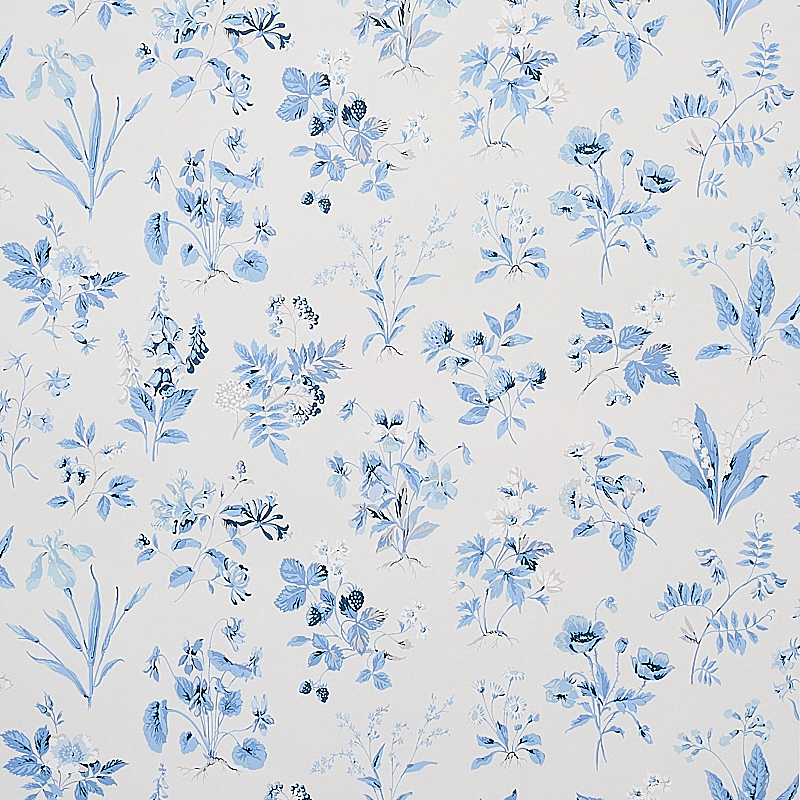 FLOREANA — BLUE