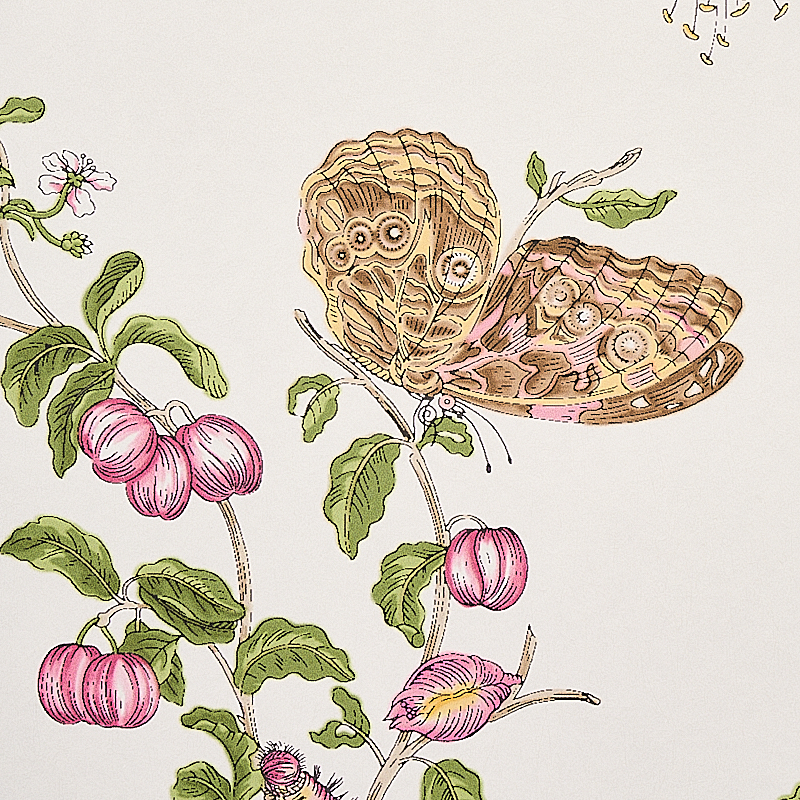 BAUDIN BUTTERFLY gallery 3
