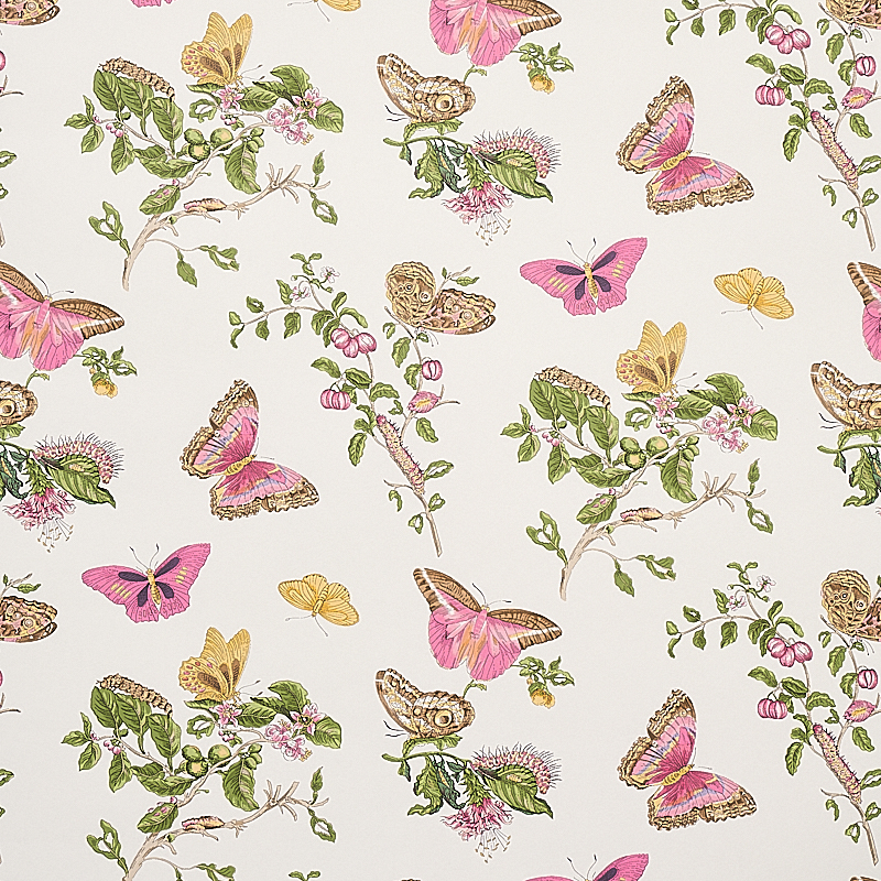 BAUDIN BUTTERFLY — BLUSH