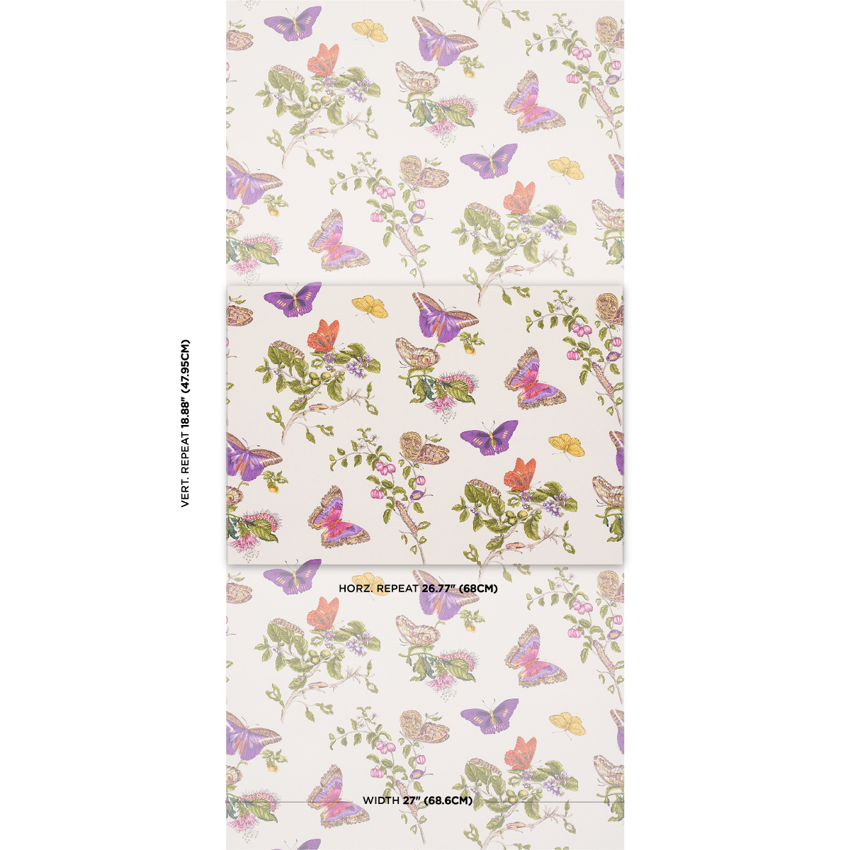 BAUDIN BUTTERFLY gallery 1