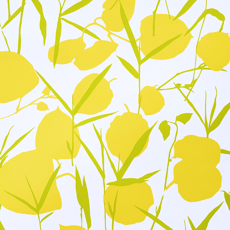 JOAN — YELLOW