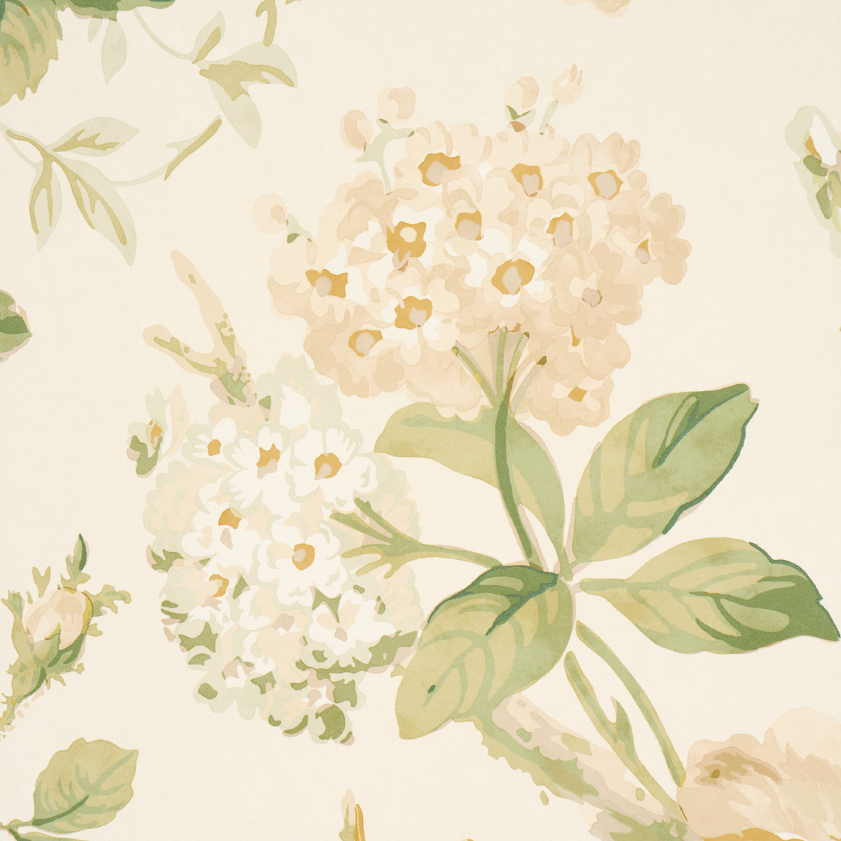 Nancy Floral gallery 3
