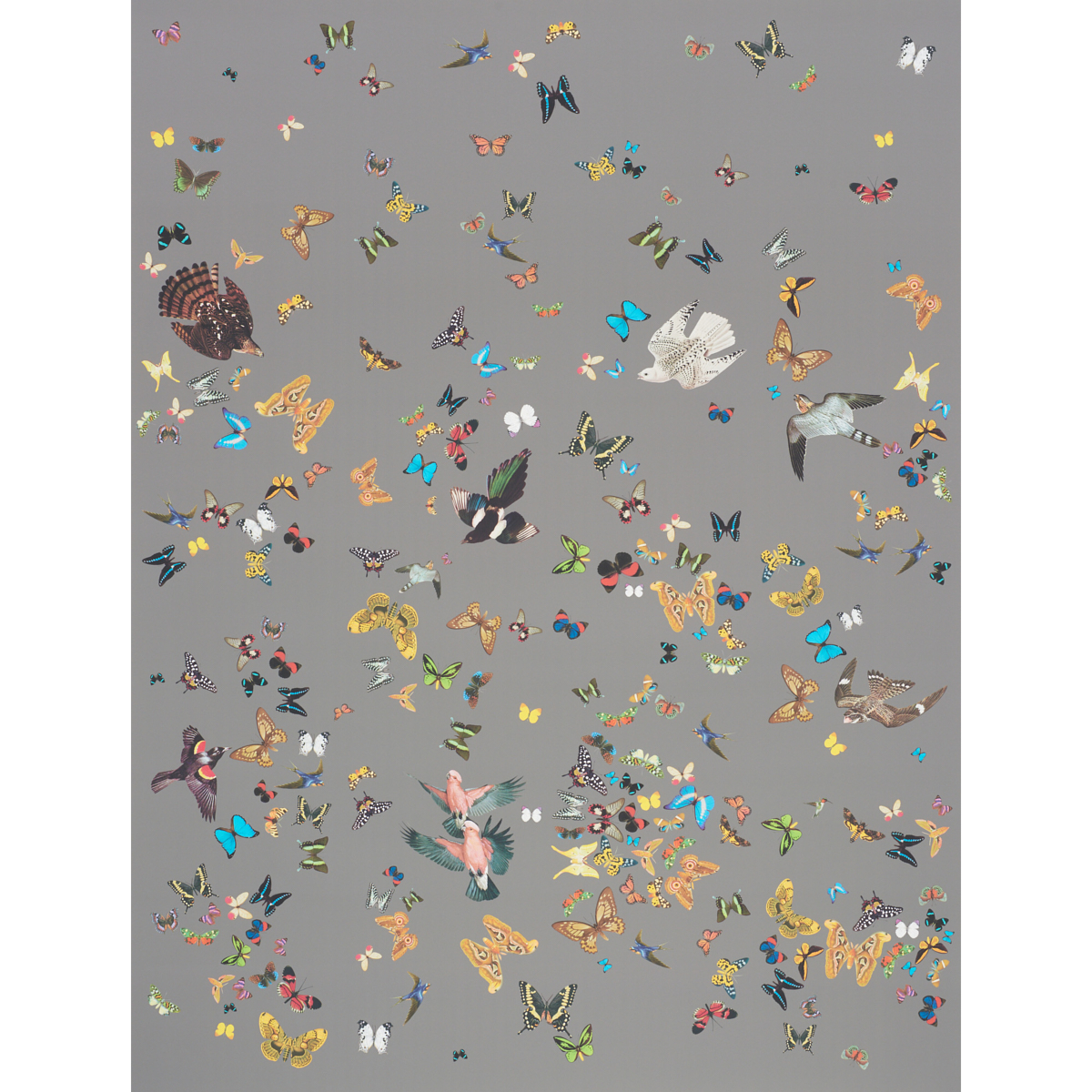 QUEEN'S FLIGHT PANEL SET — GREY