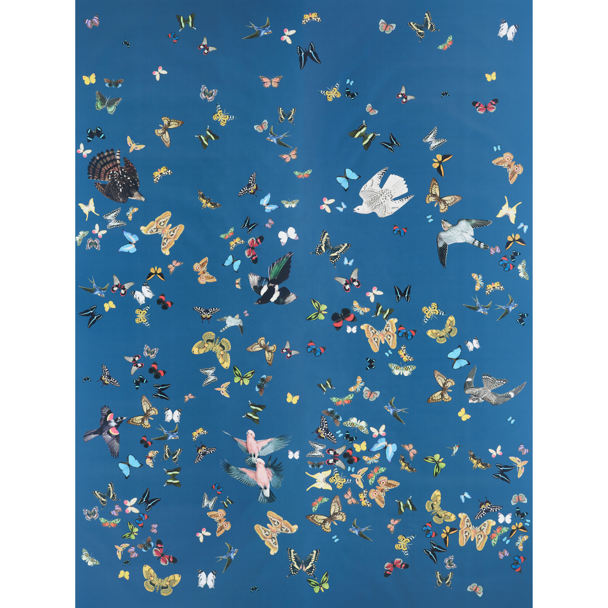 QUEEN'S FLIGHT PANEL SET — NAVY