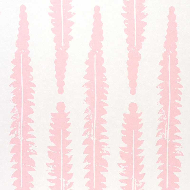 Fern gallery 2