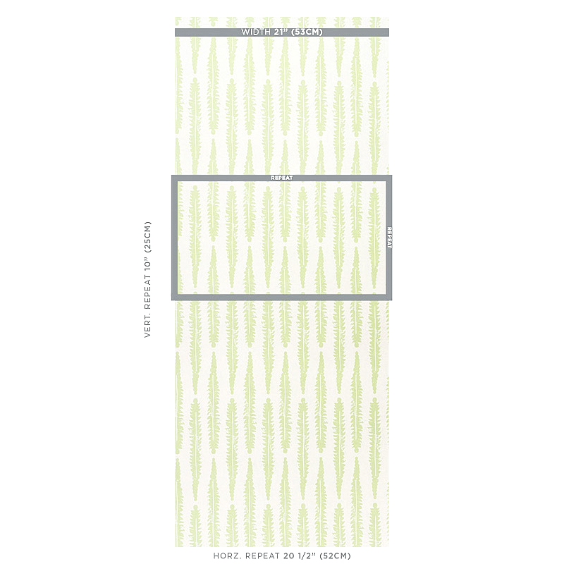 Fern gallery 1
