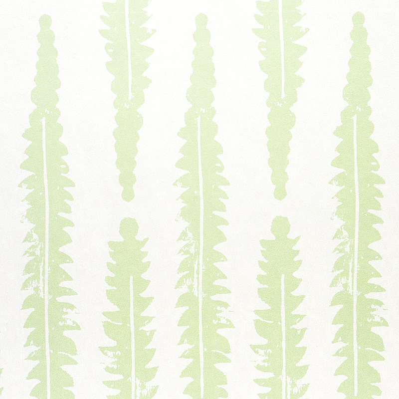 Fern gallery 2