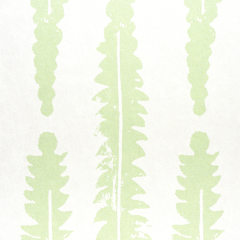 Fern gallery 3