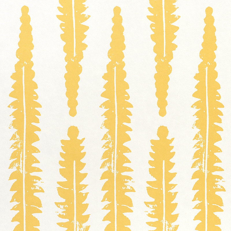 Fern gallery 2