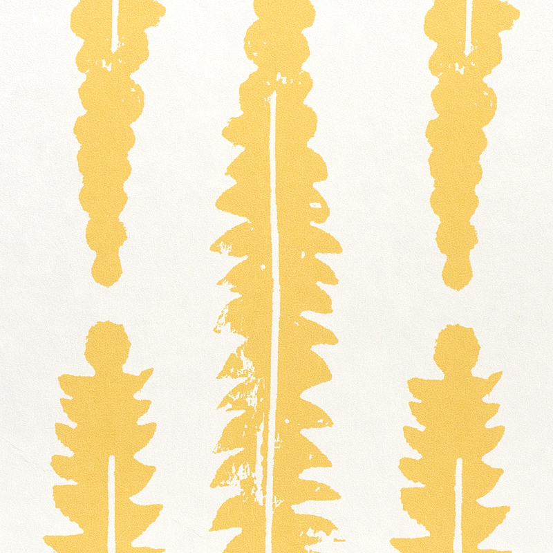 Fern gallery 3
