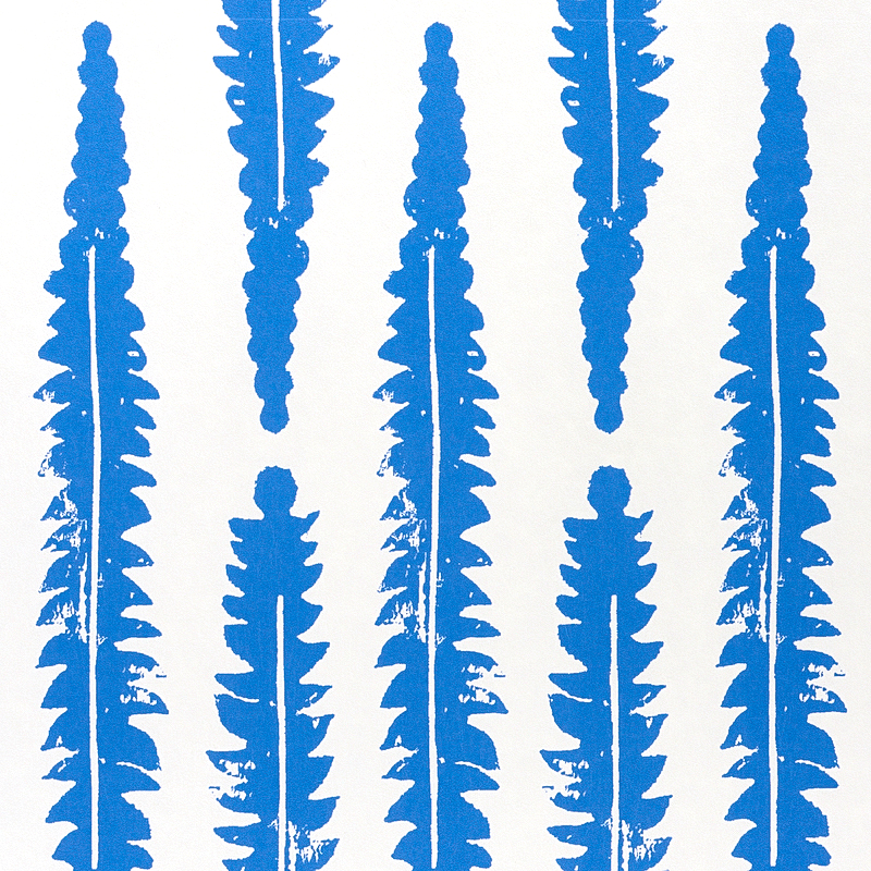 Fern gallery 2
