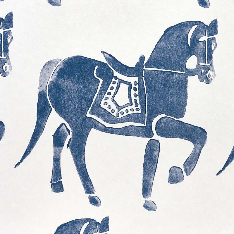 Marwari Horse gallery 2