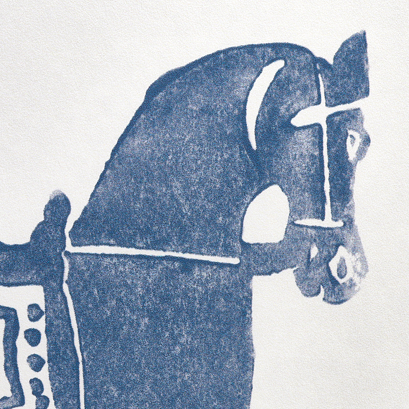 Marwari Horse gallery 3