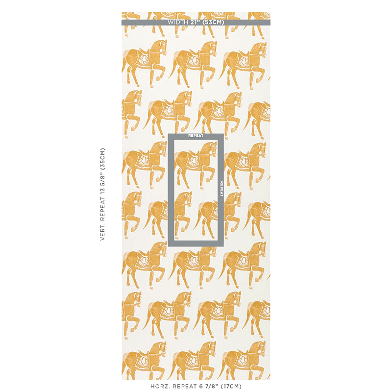 Marwari Horse gallery 1