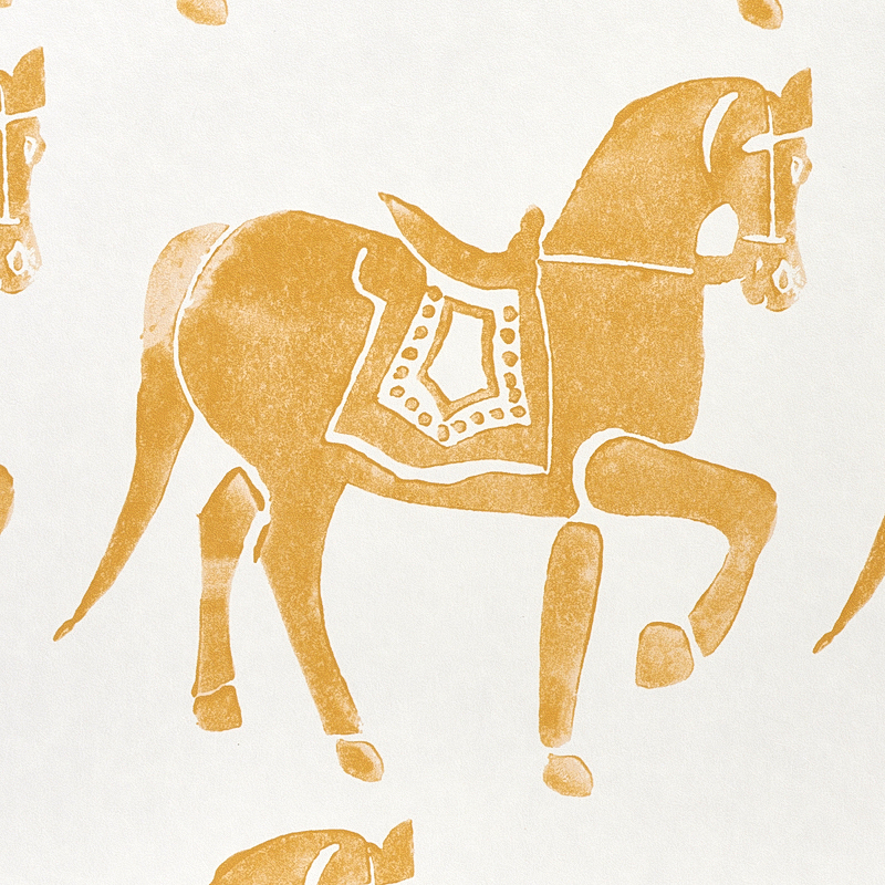 Marwari Horse gallery 2