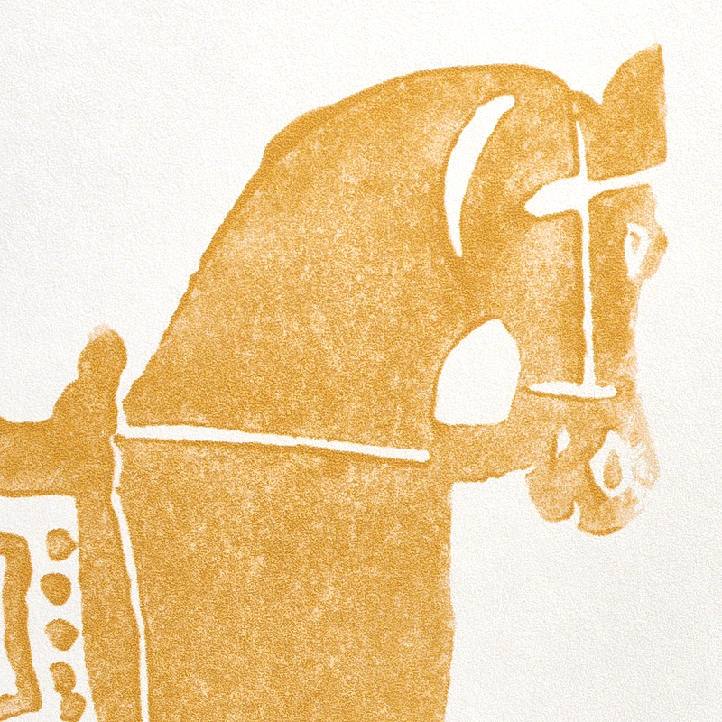 Marwari Horse gallery 3