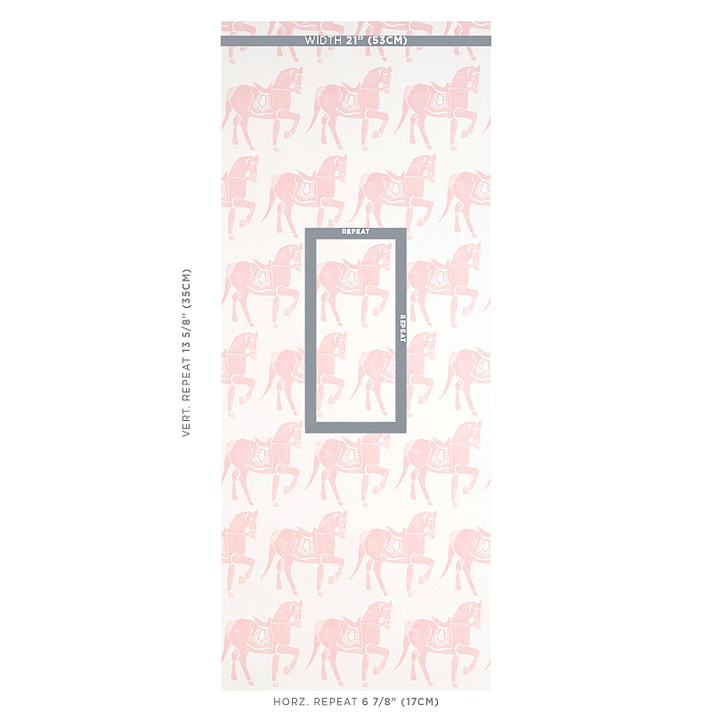 Marwari Horse gallery 1