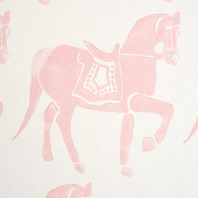 Marwari Horse gallery 2