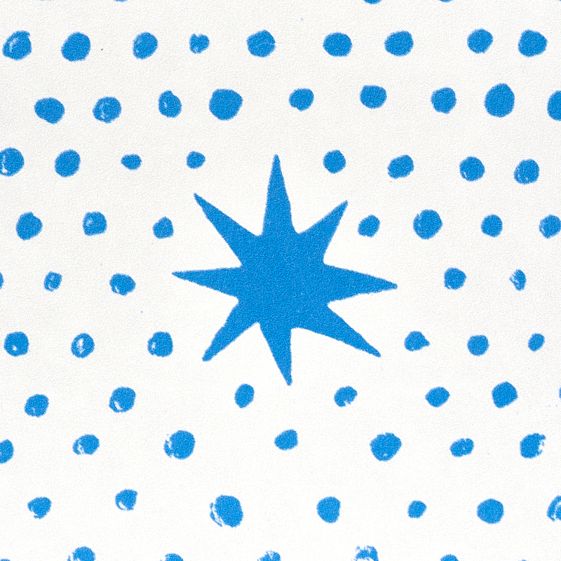 Spot & Star gallery 3