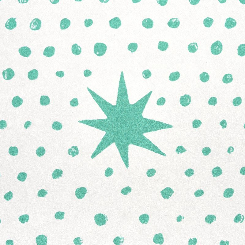 Spot & Star gallery 3