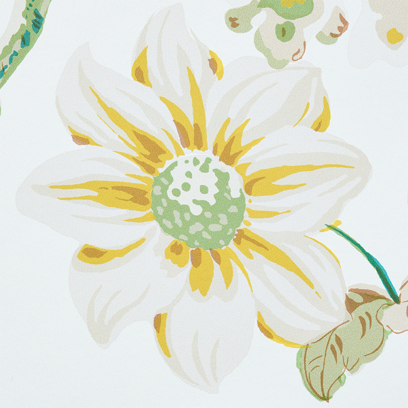 Daydream gallery 3