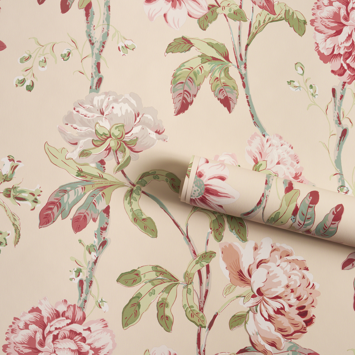 Daydream gallery 4