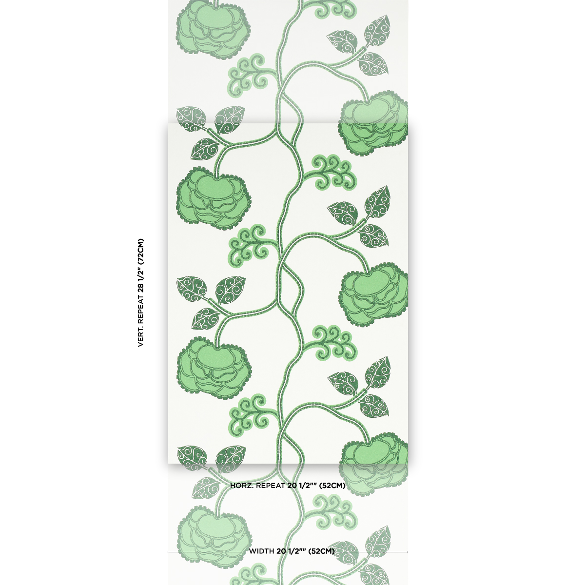 QUEEN FRUIT gallery 1