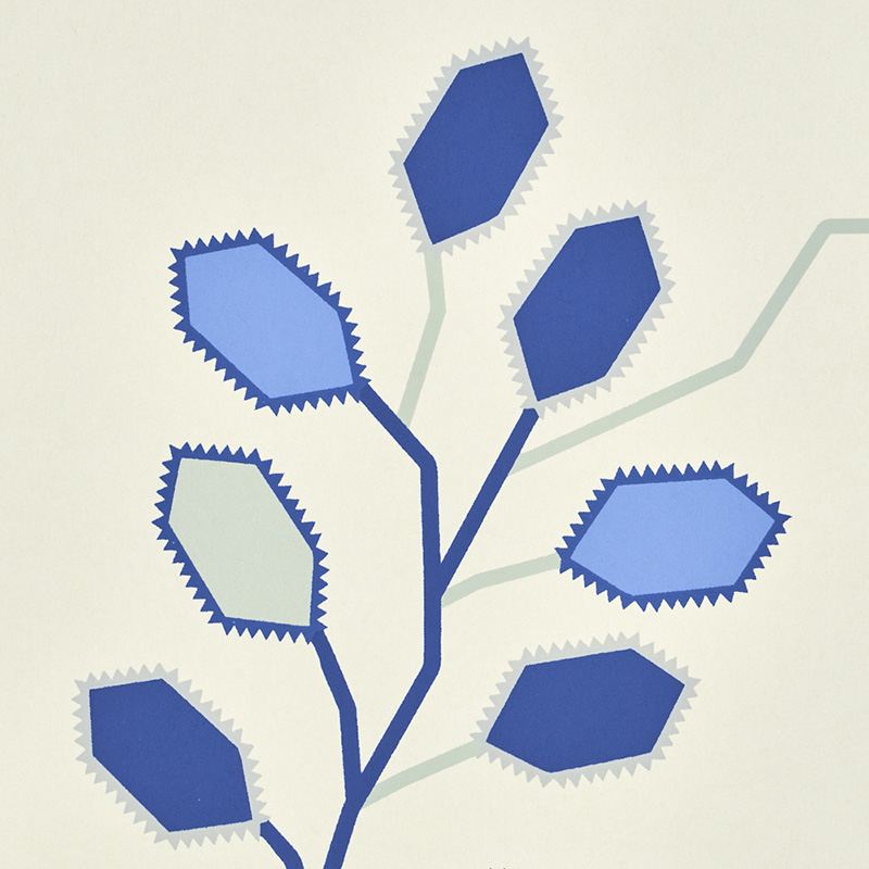 TUMBLE WEED gallery 3