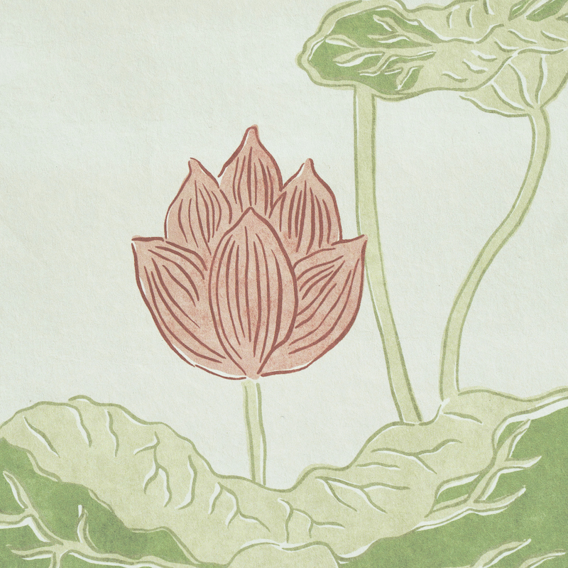 KIREINA LOTUS PANEL SET gallery 3