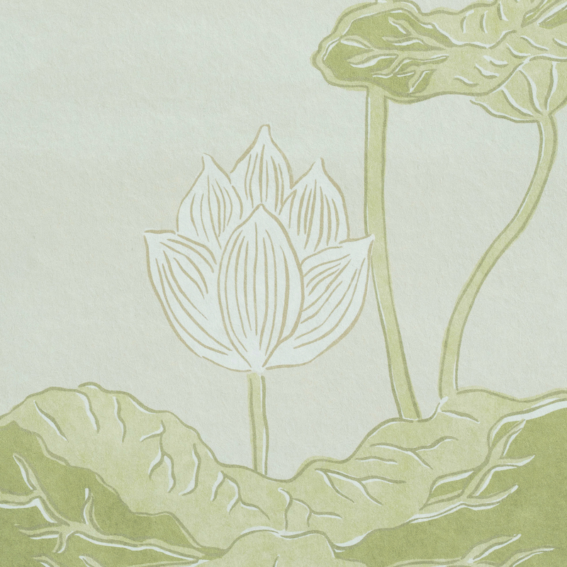KIREINA LOTUS PANEL SET gallery 3