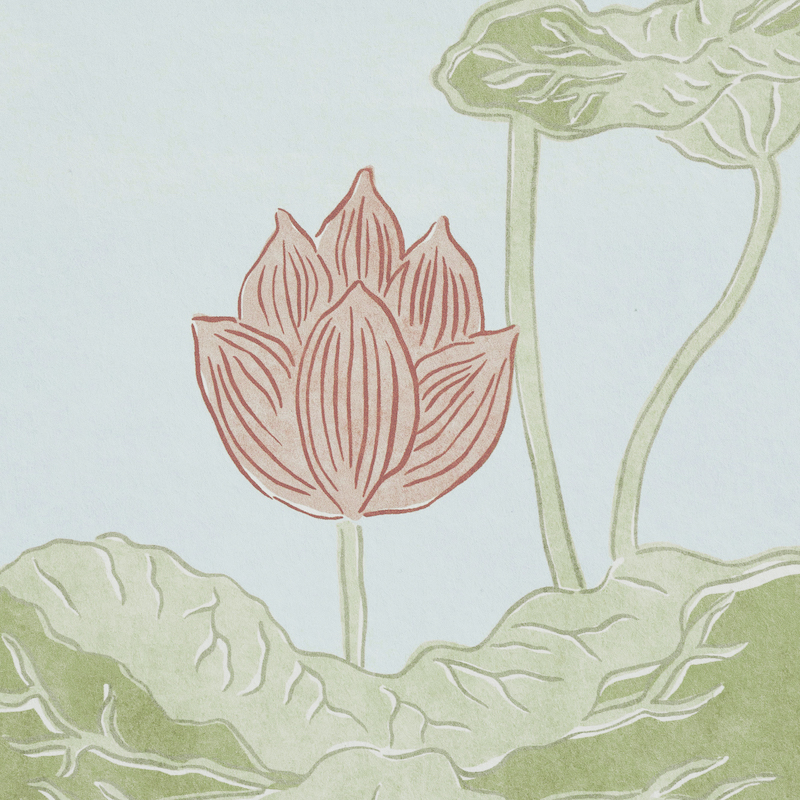 KIREINA LOTUS PANEL SET gallery 3