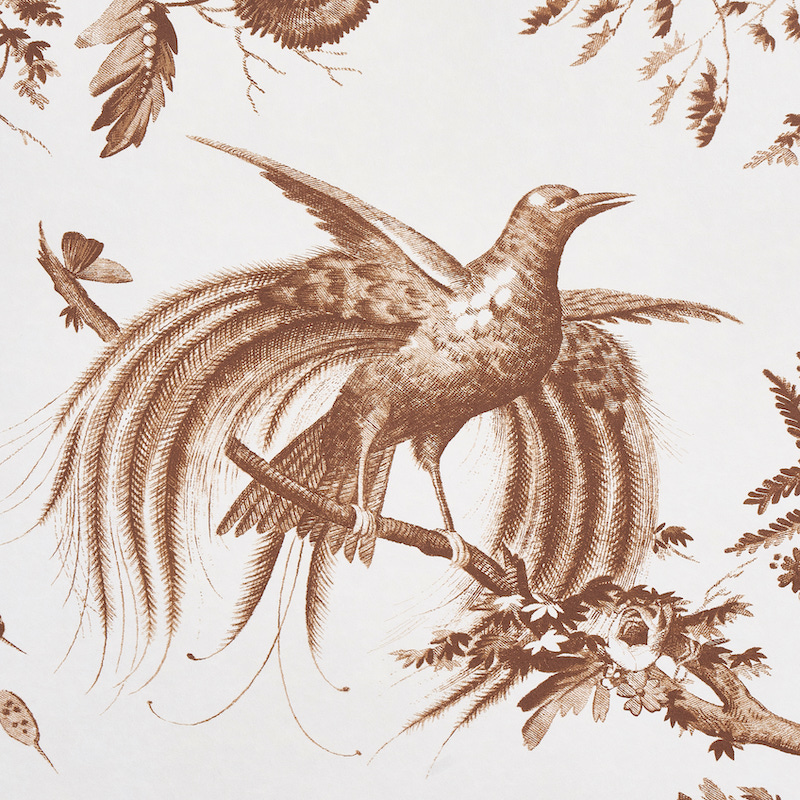 TOILE DE LA PRAIRIE gallery 2