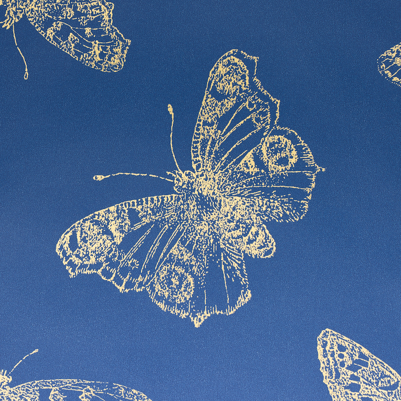 BURNELL BUTTERFLY gallery 2