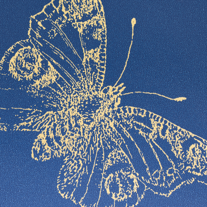 BURNELL BUTTERFLY gallery 3