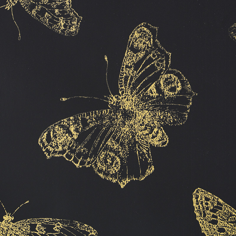 BURNELL BUTTERFLY gallery 2