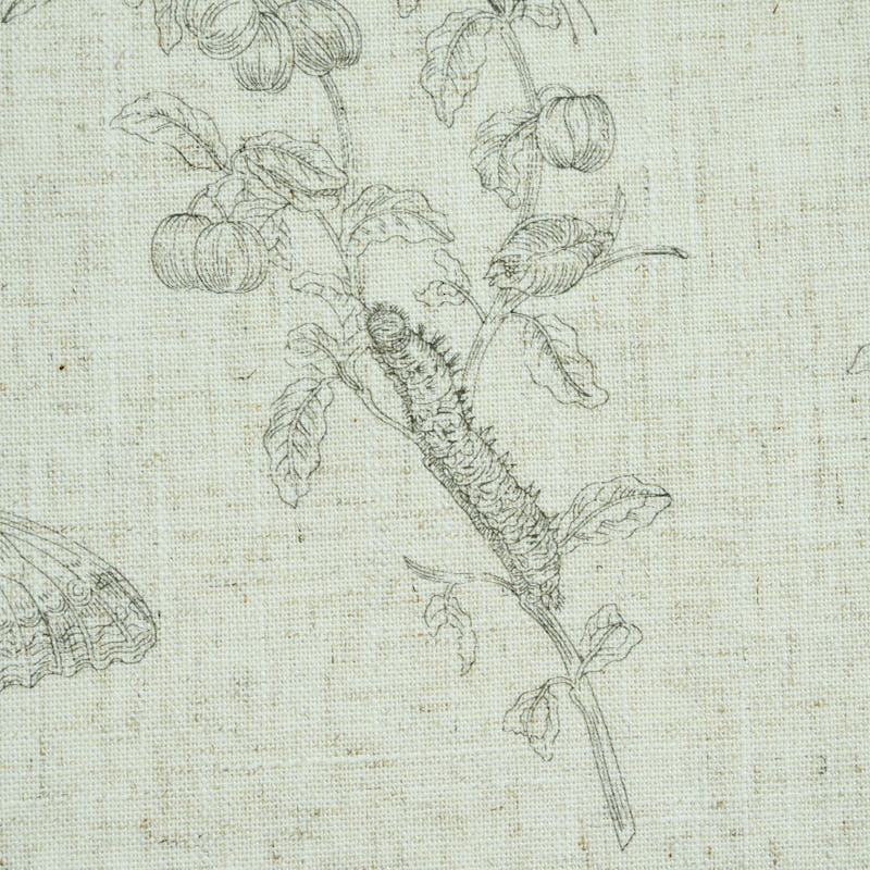 BAUDIN BUTTERFLY LINEN gallery 3