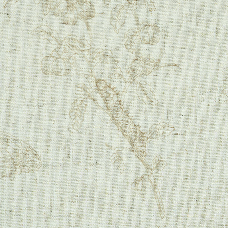 BAUDIN BUTTERFLY LINEN gallery 3