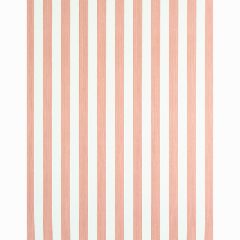 EDWIN STRIPE MEDIUM gallery 1