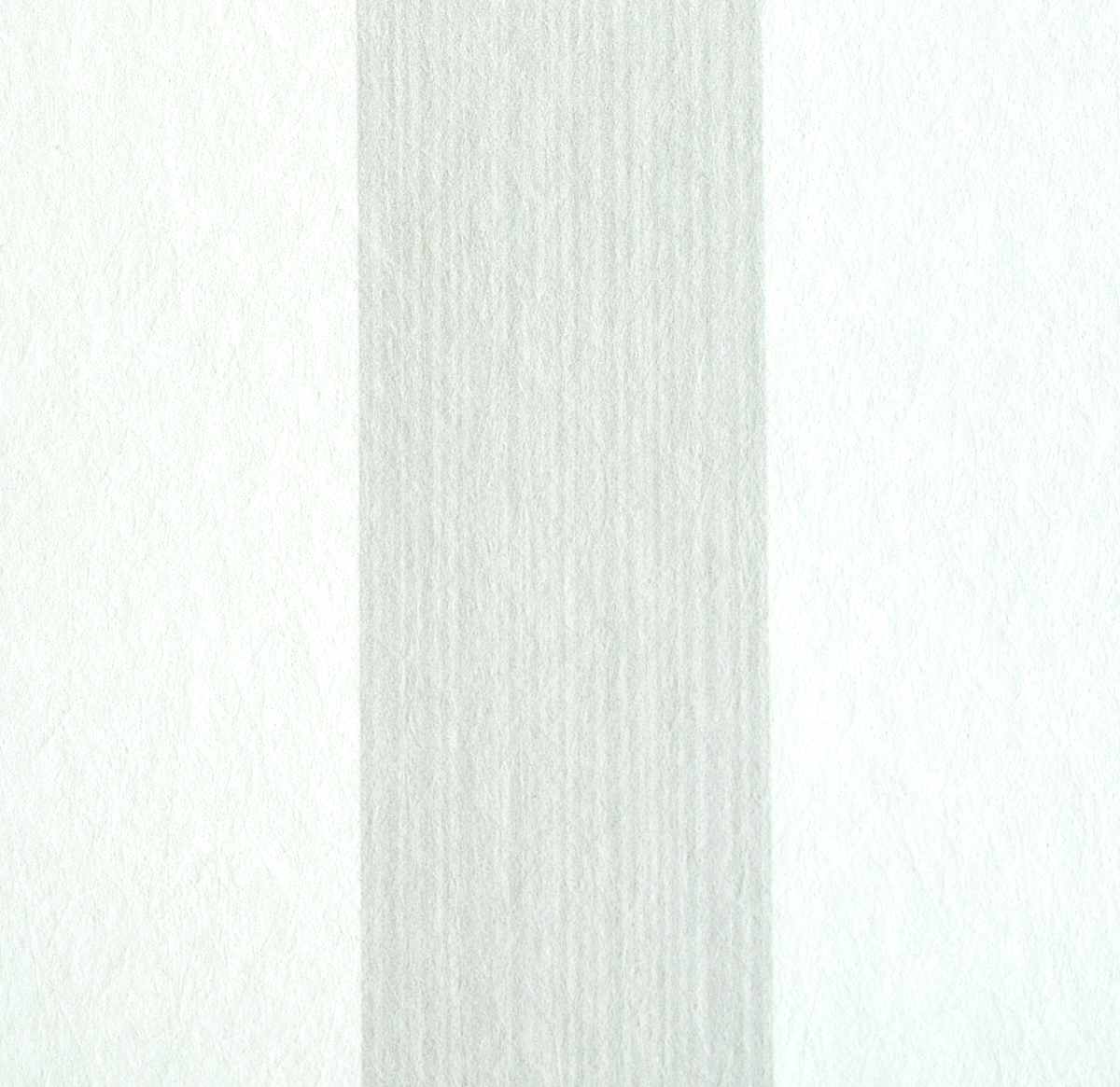 EDWIN STRIPE MEDIUM gallery 2