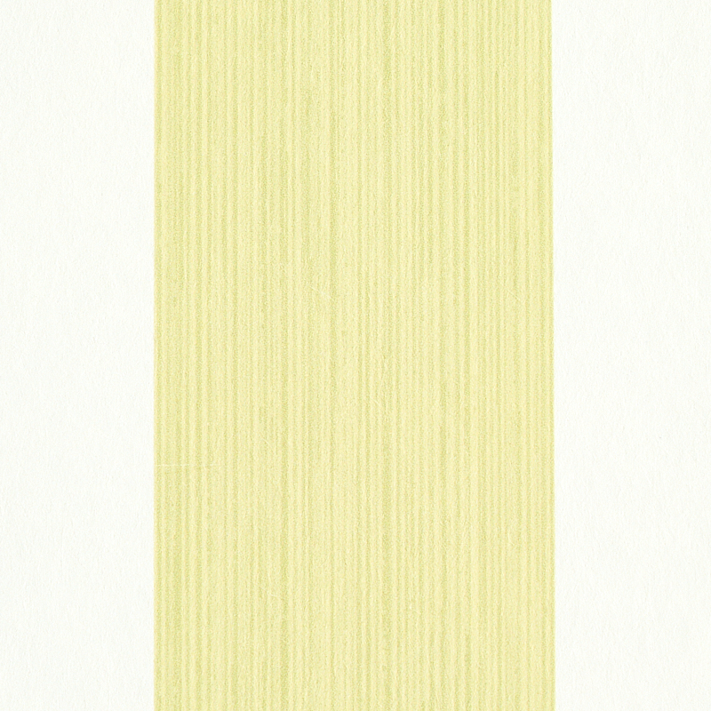 EDWIN STRIPE WIDE gallery 2