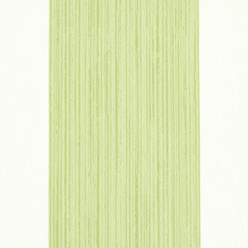 EDWIN STRIPE WIDE gallery 2