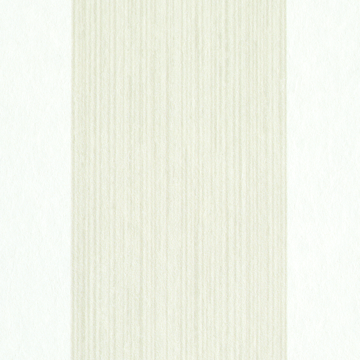 EDWIN STRIPE WIDE gallery 2