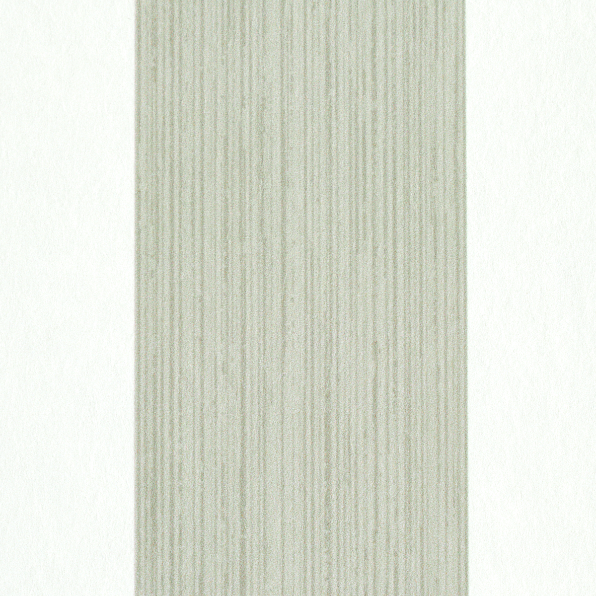 EDWIN STRIPE WIDE gallery 2