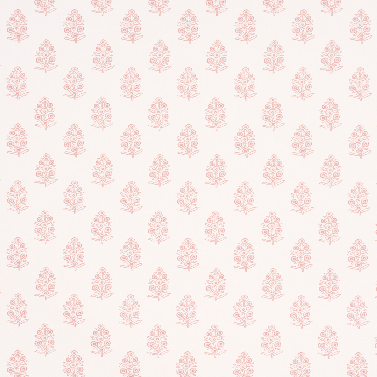 ADITI — BLUSH
