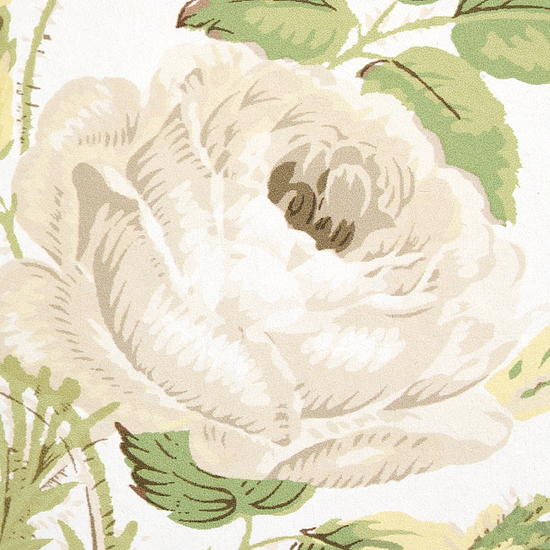 LOUDON ROSE gallery 3